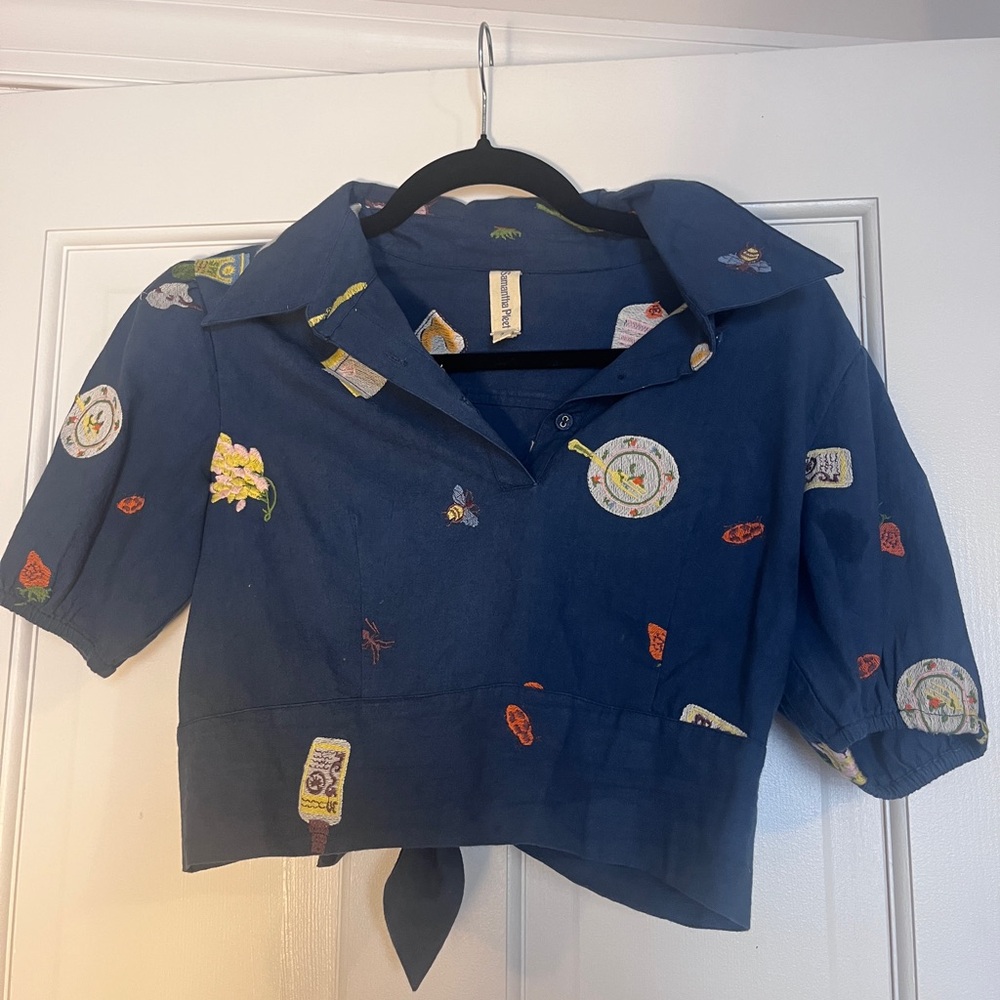 Samantha Pleet Blue Embroidered Crop Top